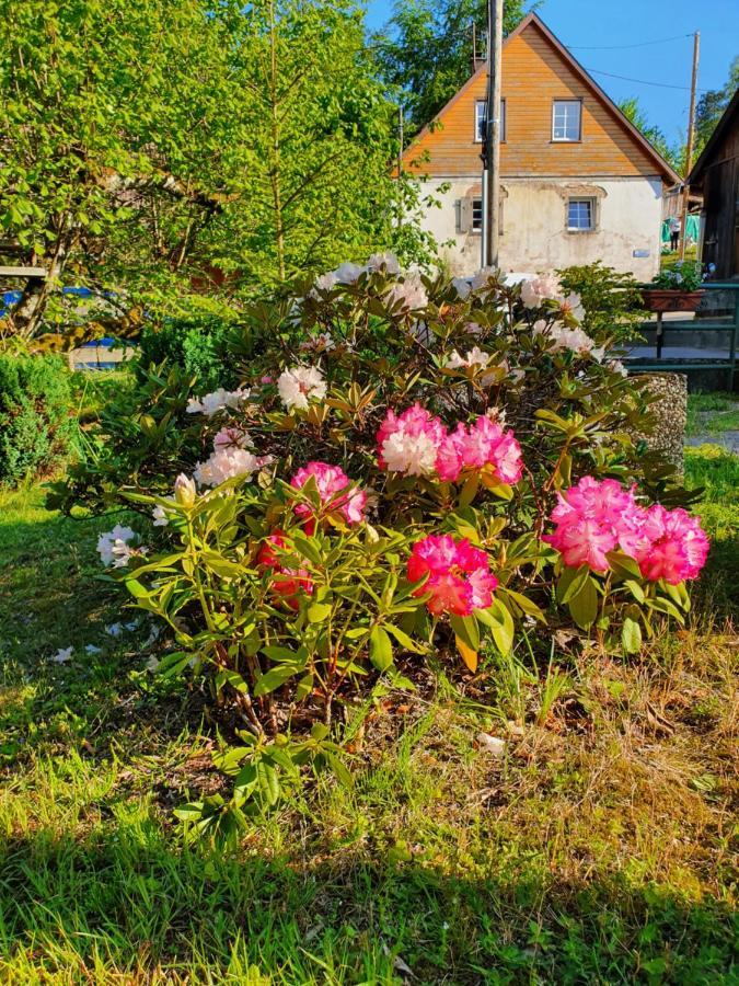 Apartmán Locations Dupertuis Alsace Le Hohwald Exteriér fotografie