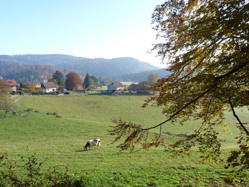 Apartmán Locations Dupertuis Alsace Le Hohwald Pokoj fotografie