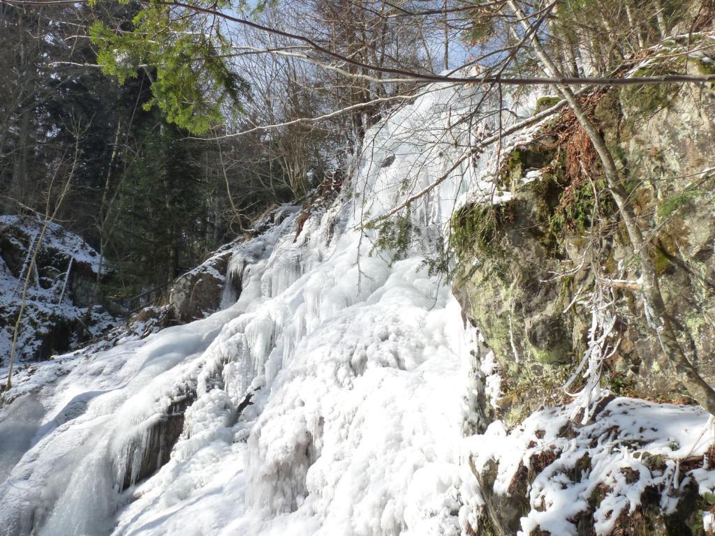 Apartmán Locations Dupertuis Alsace Le Hohwald Exteriér fotografie